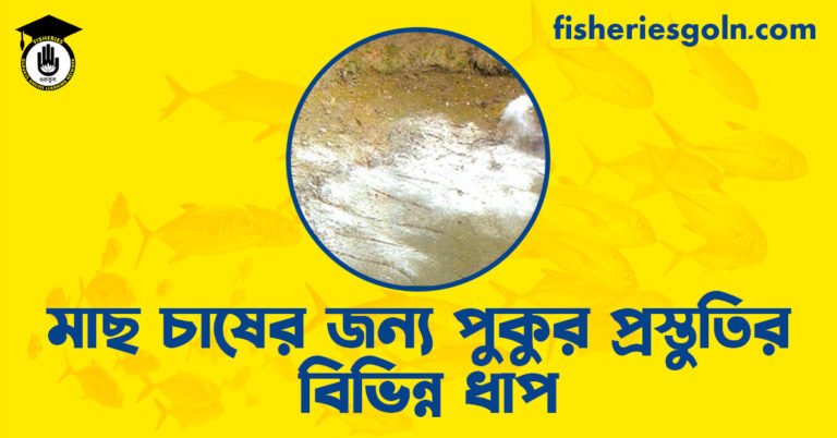 মাছ চাষের জন্য পুুকুর প্রস্তুতির বিভিন্ন ধাপ