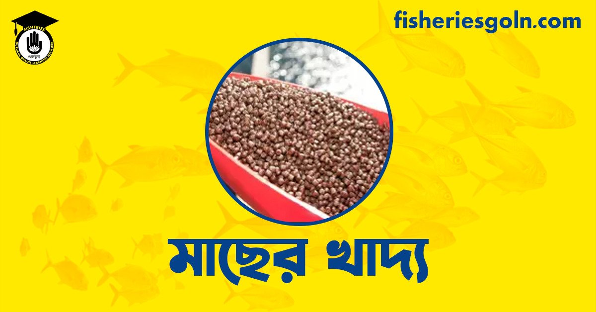 মাছের খাদ্য