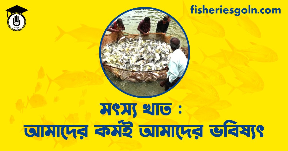 মৎস্য খাত : আমাদের কর্মই আমাদের ভবিষ্যৎ