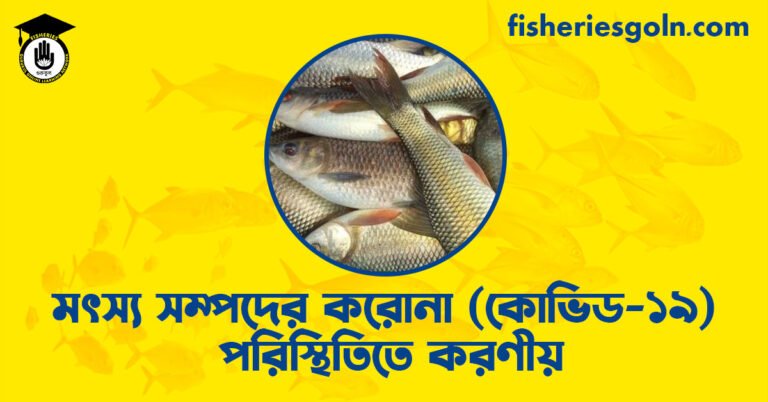 মৎস্য সম্পদের করোনা (কোভিড-১৯) পরিস্থিতিতে করণীয়
