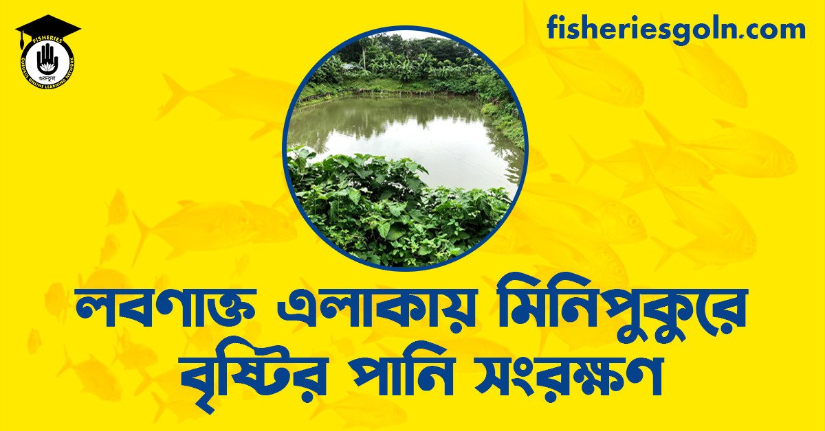 লবণাক্ত এলাকায় মিনিপুকুরে বৃষ্টির পানি সংরক্ষণ