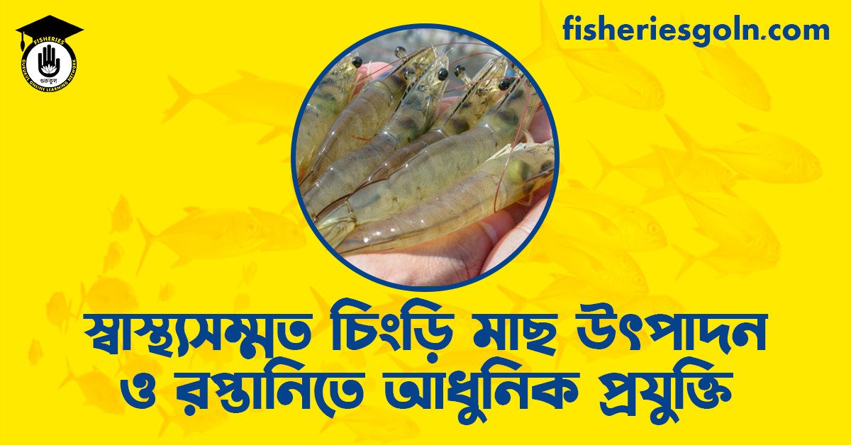 স্বাস্থ্যসম্মত চিংড়ি মাছ উৎপাদন ও রপ্তানিতে আধুনিক প্রযুক্তি