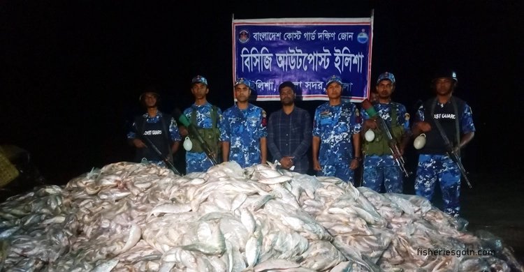 ভোলার মেঘনা নদীতে সাড়ে ৫ হাজার কেজি ইলিশসহ অন্যান্য মাছ জব্দ | সারা সপ্তাহের খবর 