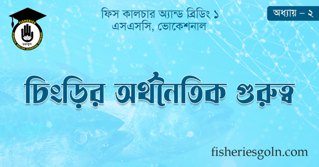 চিংড়ির অর্থনৈতিক গুরুত্ব