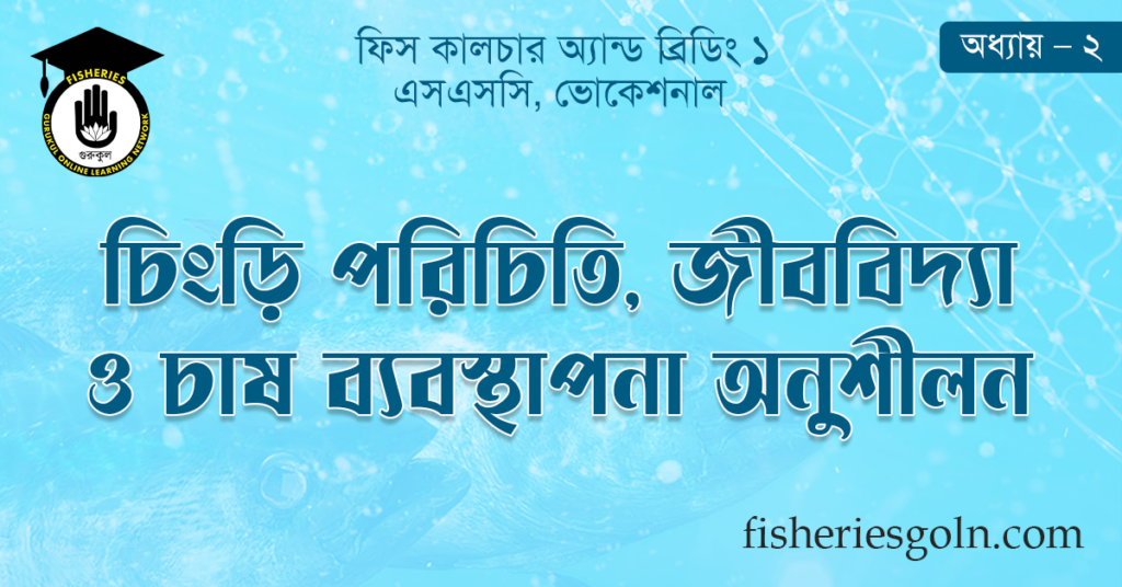 চিংড়ি পরিচিতি, জীববিদ্যা ও চাষ ব্যবস্থাপনা অনুশীলন