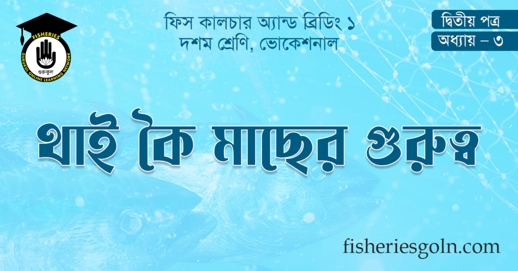 থাই কৈ মাছের গুরুত্ব
