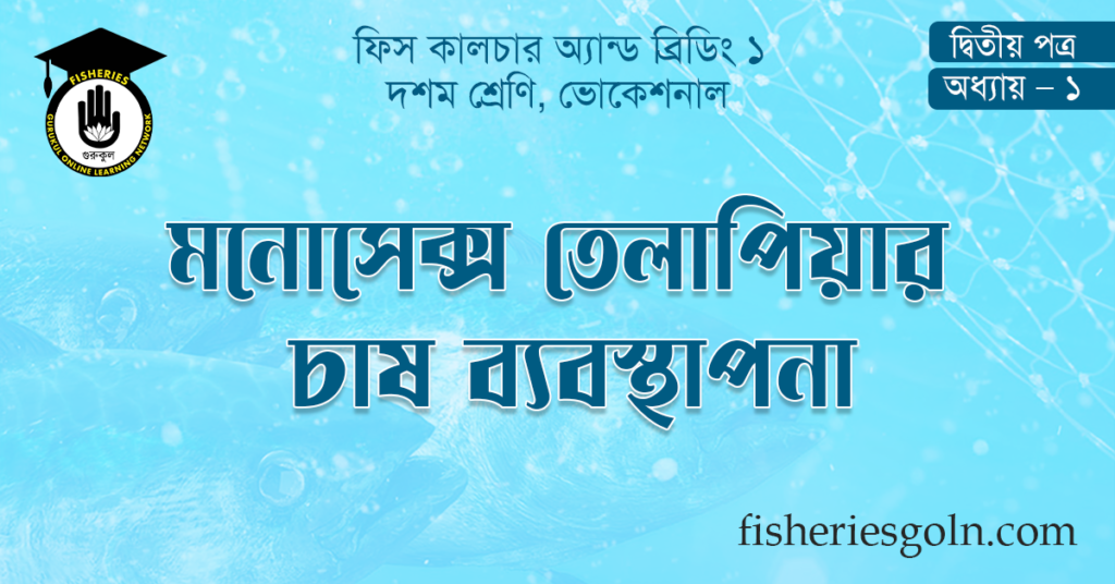 মনোসেক্স তেলাপিয়ার চাষ ব্যবস্থাপনা
