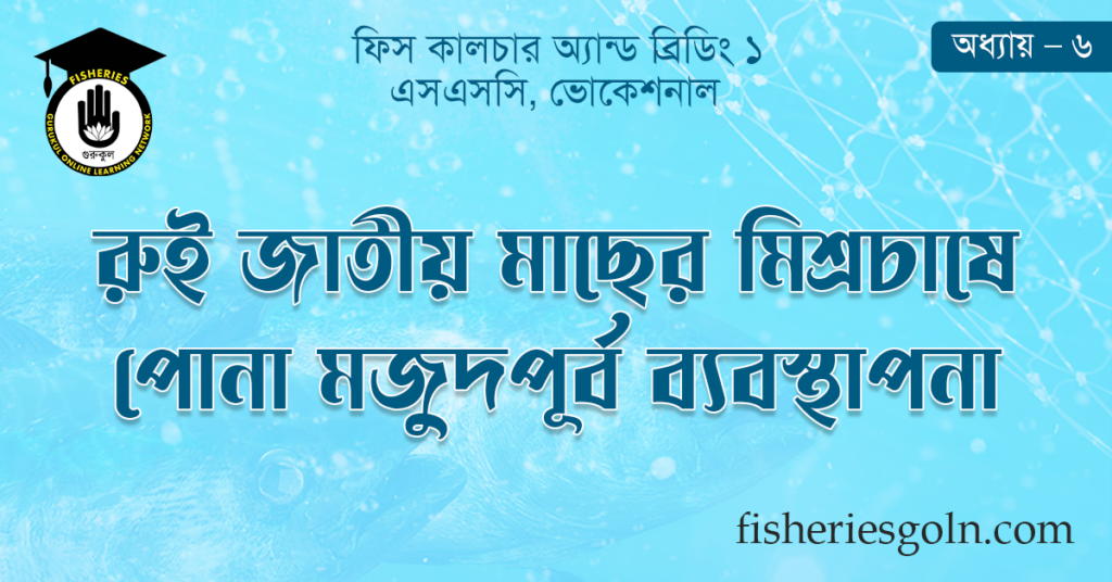 রুই জাতীয় মাছের মিশ্রচাষে পোনা মজুদপূর্ব ব্যবস্থাপনা