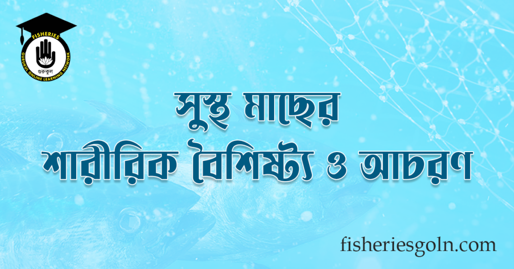 সুস্থ মাছের শারীরিক বৈশিষ্ট্য ও আচরণ
