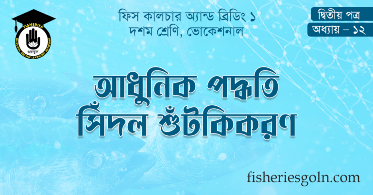 আধুনিক পদ্ধতি সিঁদল শুঁটকিকরণ