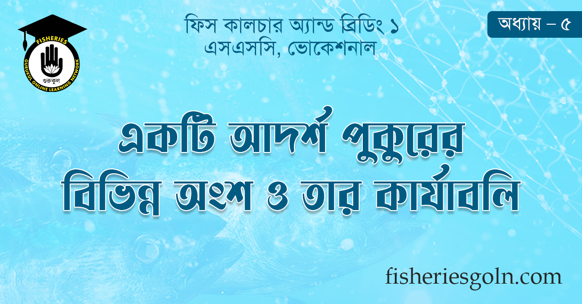 একটি আদর্শ পুকুরের বিভিন্ন অংশ ও তার কার্যাবলি