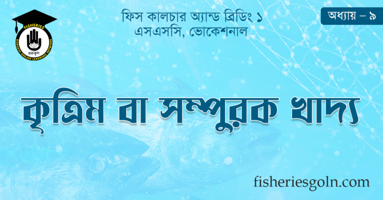 কৃত্রিম বা সম্পুরক খাদ্য