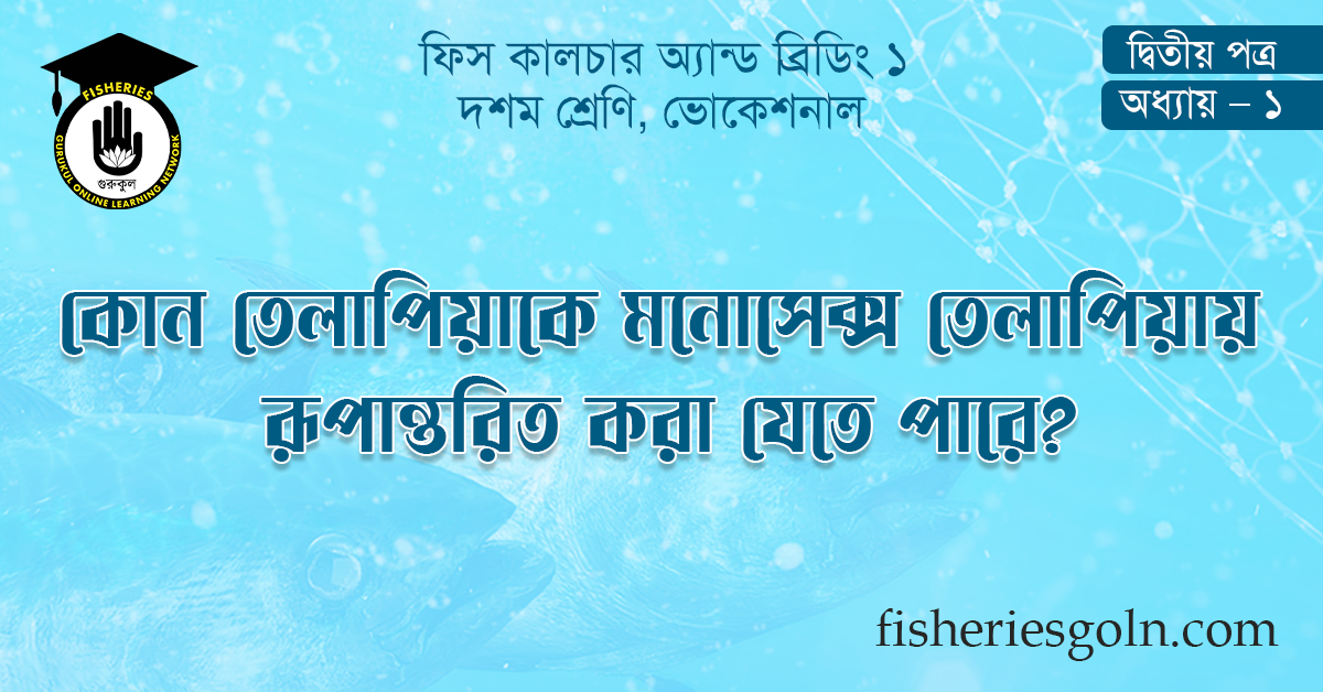 কোন তেলাপিয়াকে মনোসেক্স তেলাপিয়ায় রূপান্তরিত করা যেতে পারে?