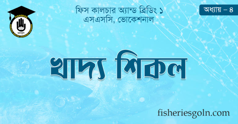 খাদ্য শিকল