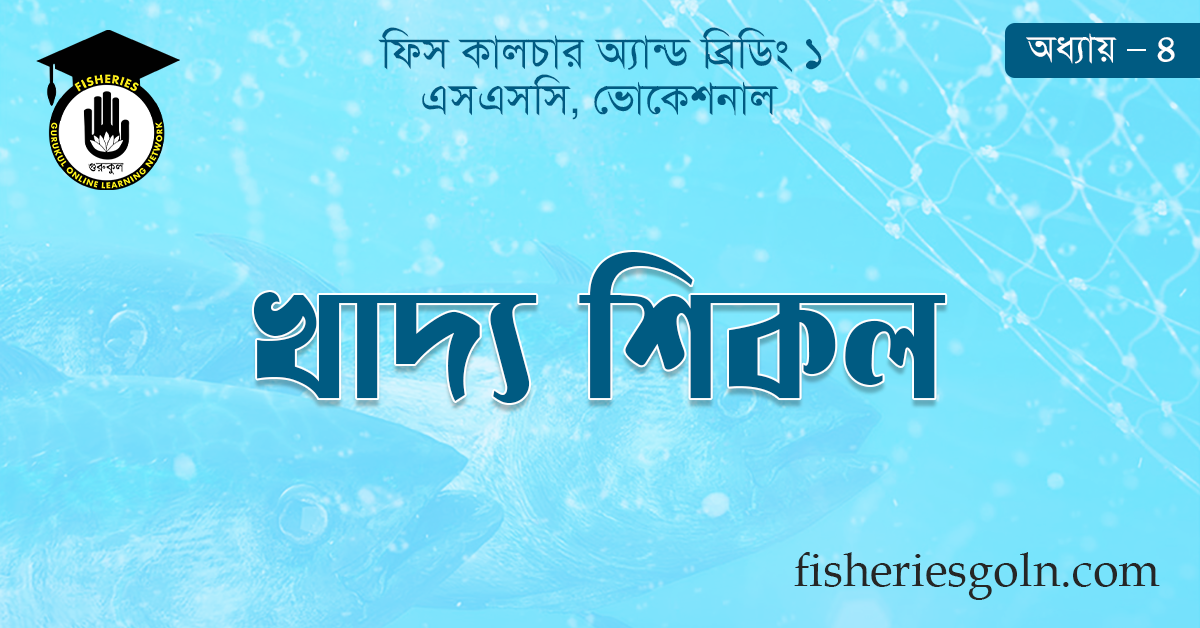 খাদ্য শিকল