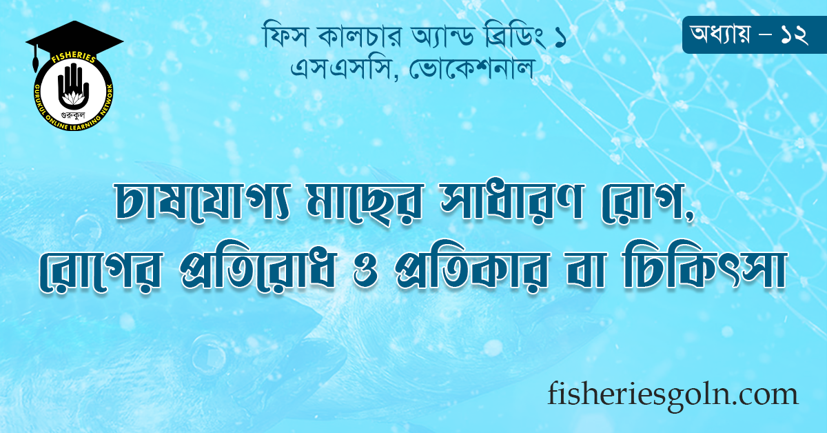 চাষযোগ্য মাছের সাধারণ রোগ