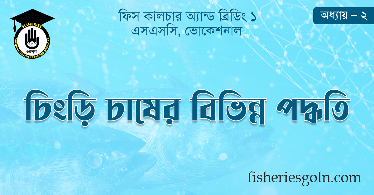 চিংড়ি চাষের বিভিন্ন পদ্ধতি