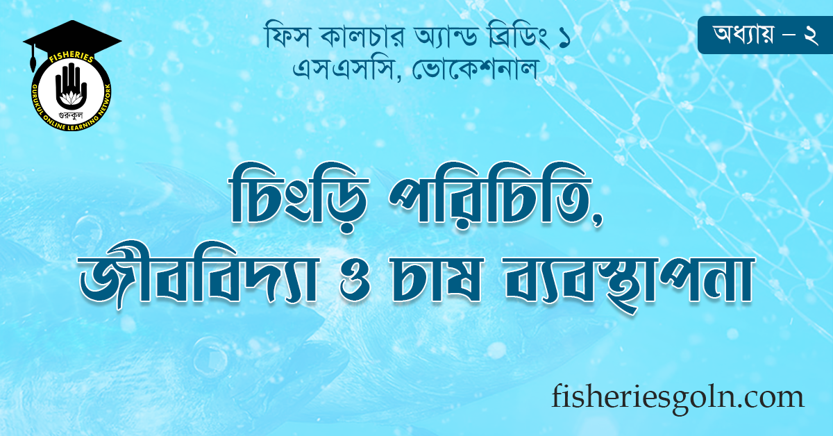 চিংড়ি পরিচিতি, জীববিদ্যা ও চাষ ব্যবস্থাপনা