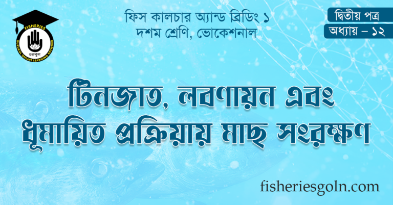 লবণায়ন এবং ধূমায়িত প্রক্রিয়ায় মাছ সংরক্ষণ