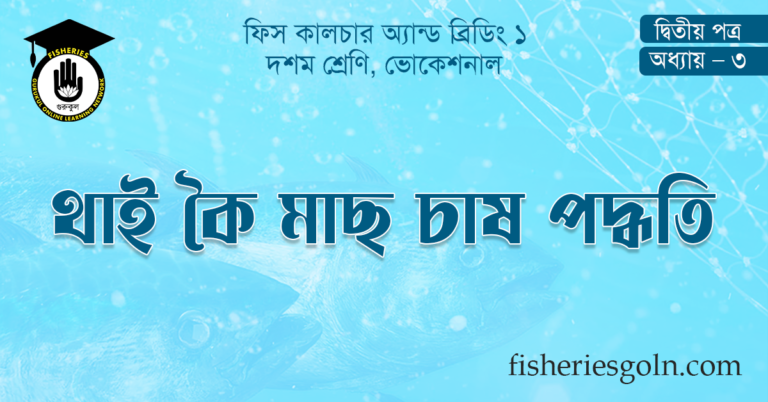 থাই কৈ মাছ চাষ পদ্ধতি