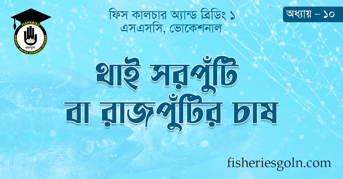 থাই সরপুঁটি বা রাজপুঁটির চাষ