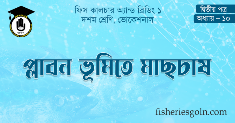 প্লাবন ভূমিতে মাছচাষ