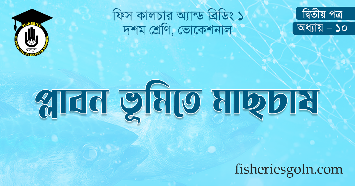 প্লাবন ভূমিতে মাছচাষ