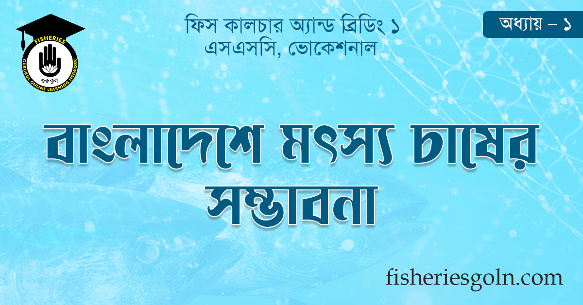 বাংলাদেশে মৎস্য চাষের সম্ভাবনা