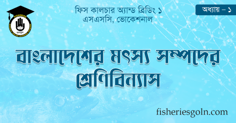 বাংলাদেশের মৎস্য সম্পদের শ্রেণিবিন্যাস