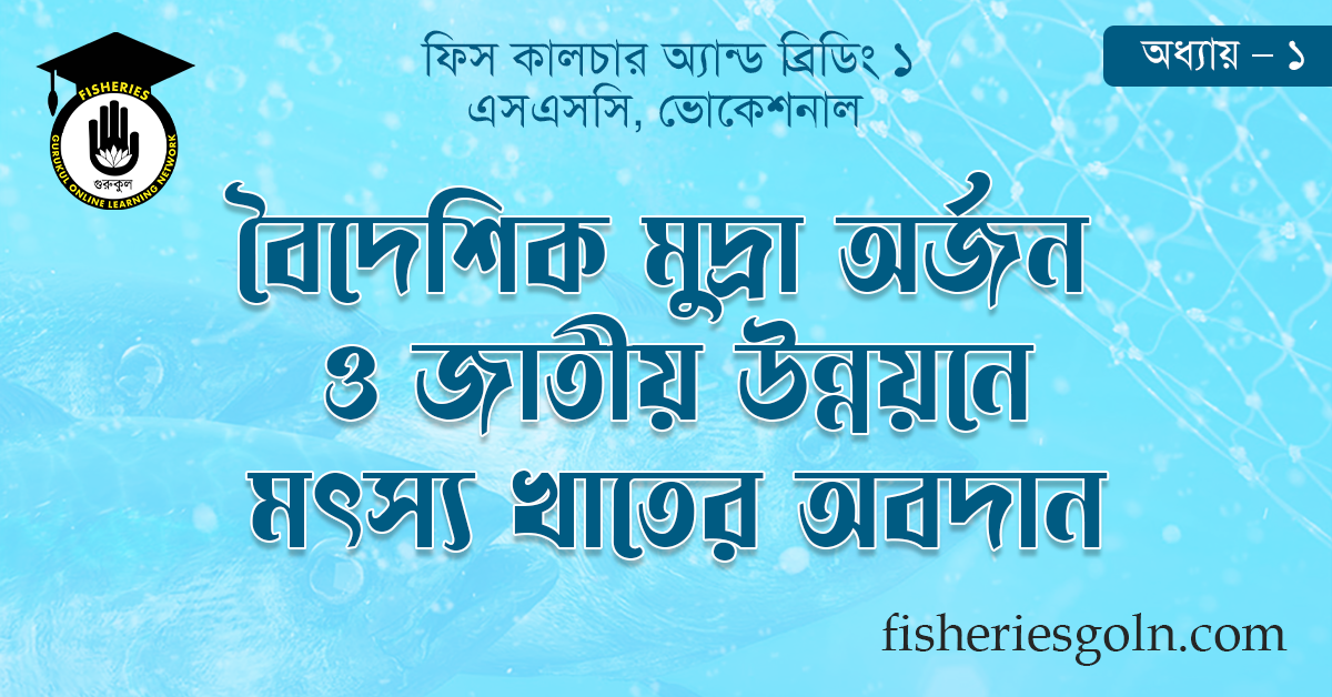 বৈদেশিক মুদ্রা অর্জন ও জাতীয় উন্নয়নে মৎস্য খাতের অবদান