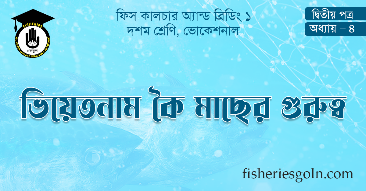 ভিয়েতনাম কৈ মাছের গুরুত্ব