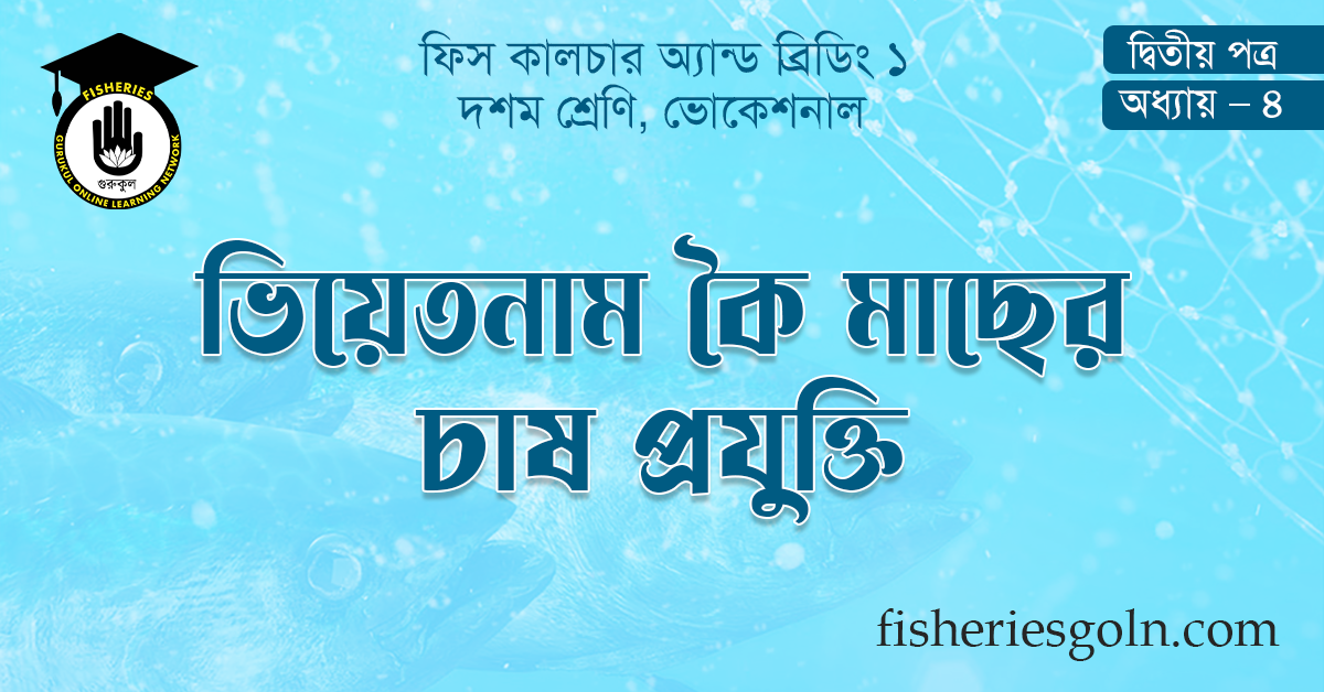 ভিয়েতনাম কৈ মাছের চাষ প্রযুক্তি