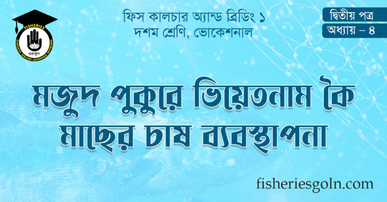 মজুদ পুকুরে ভিয়েতনাম কৈ মাছের চাষ ব্যবস্থাপনা