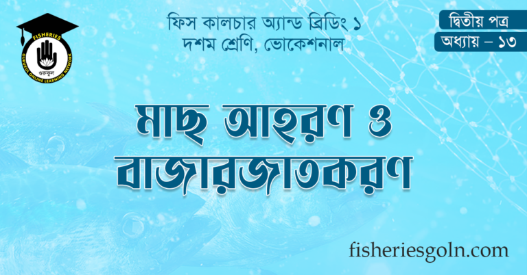 মাছ আহরণ ও বাজারজাতকরণ