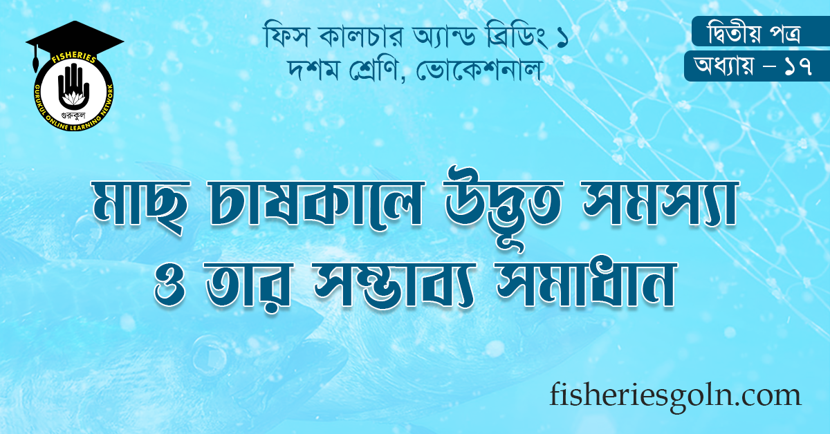 মাছ চাষকালে উদ্ভূত সমস্যা ও তার সম্ভাব্য সমাধান