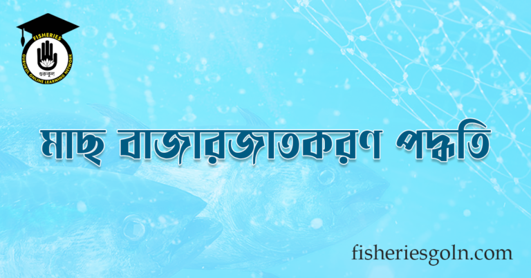 মাছ বাজারজাতকরণ পদ্ধতি 