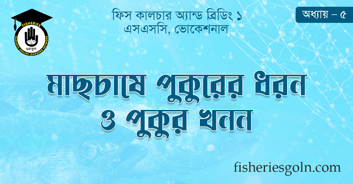 মাছচাষে পুকুরের ধরন ও পুকুর খনন