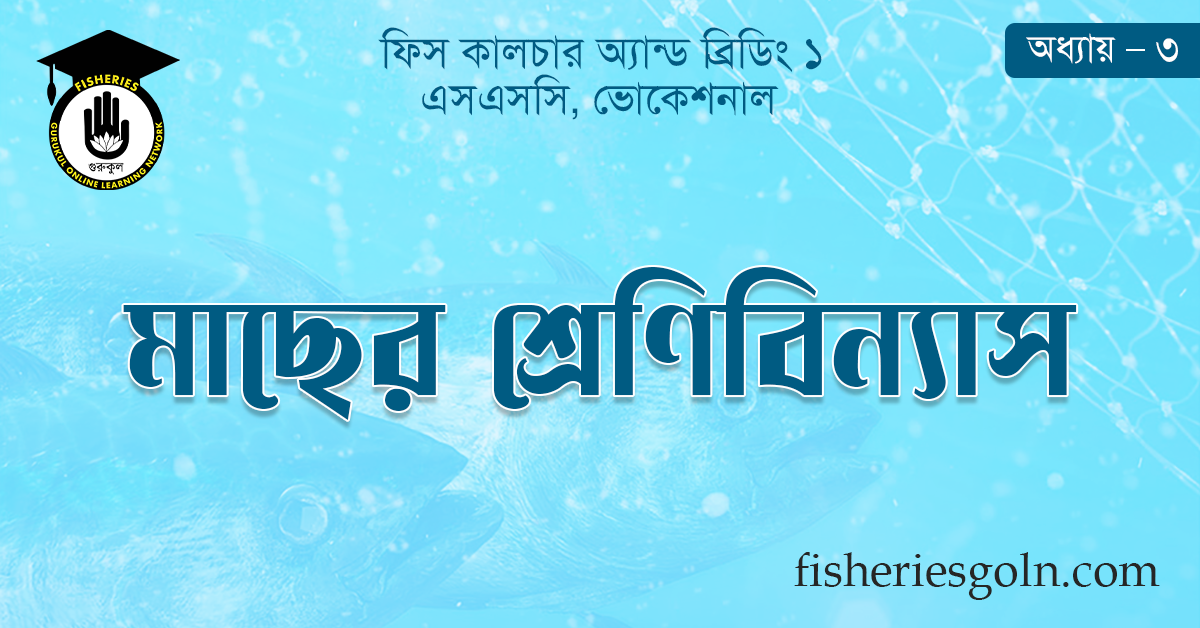 মাছের শ্রেণিবিন্যাস