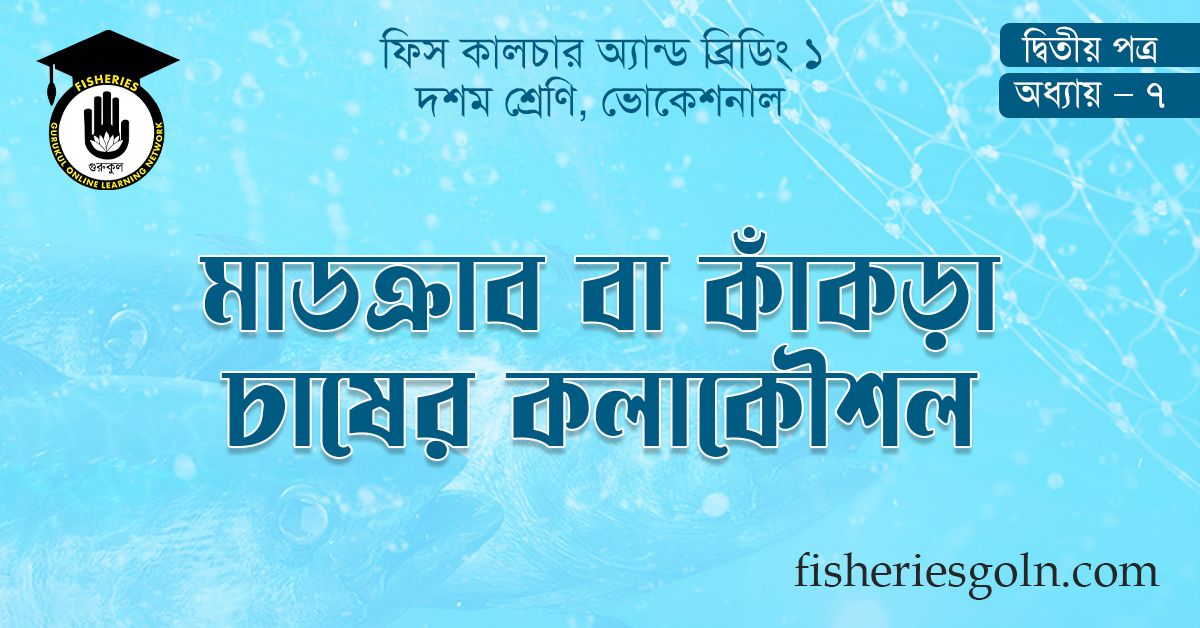 মাডক্রাব বা কাঁকড়া চাষের কলাকৌশল