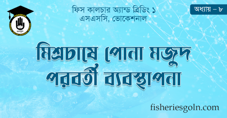 মিশ্রচাষে পোনা মজুদ পরবর্তী ব্যবস্থাপনা