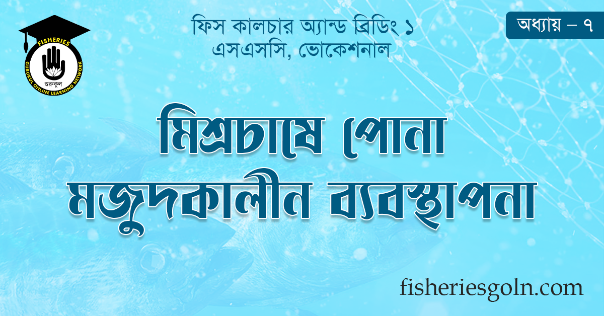 মিশ্রচাষে পোনা মজুদকালীন ব্যবস্থাপনা