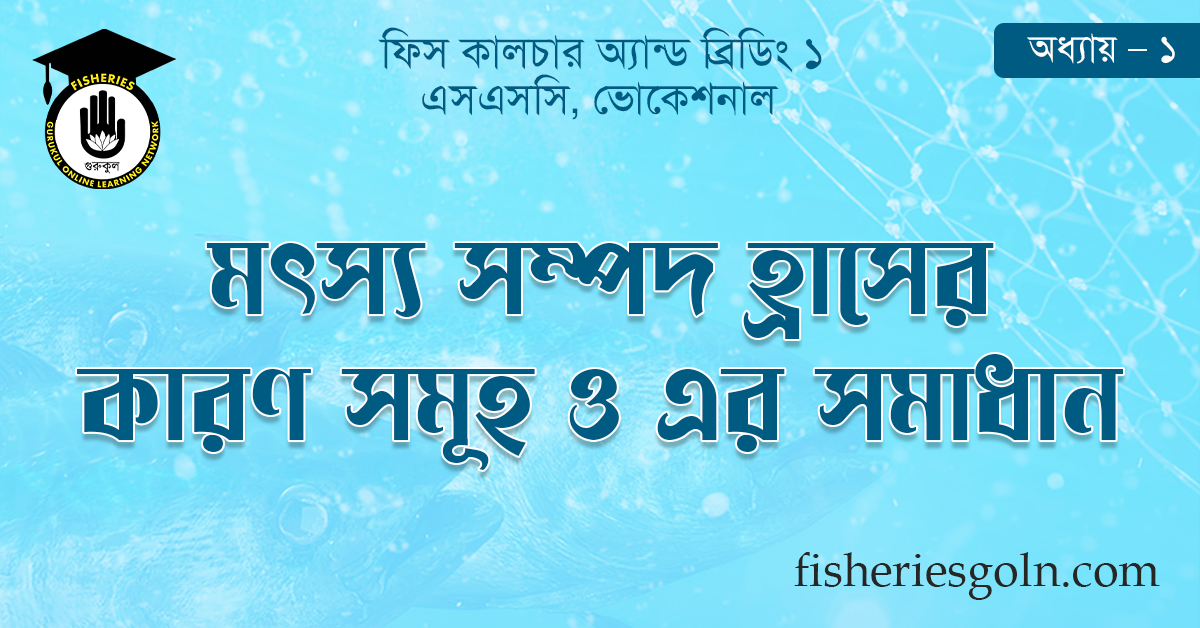 মৎস্য সম্পদ হ্রাসের কারণ সমূহ ও এর সমাধান