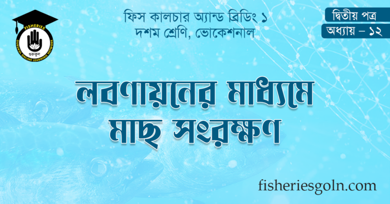 লবণায়নের মাধ্যমে মাছ সংরক্ষণ