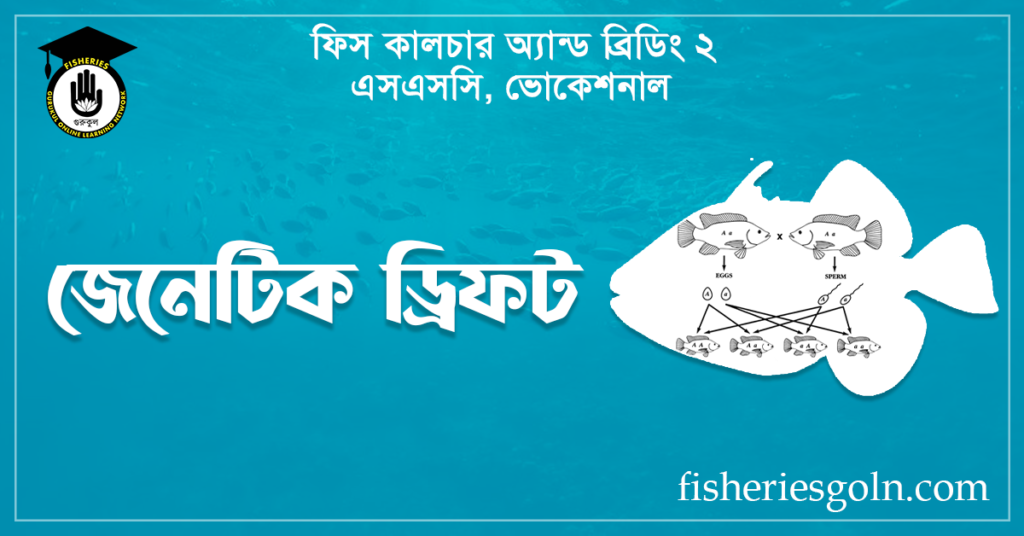 জেনেটিক ড্রিফট