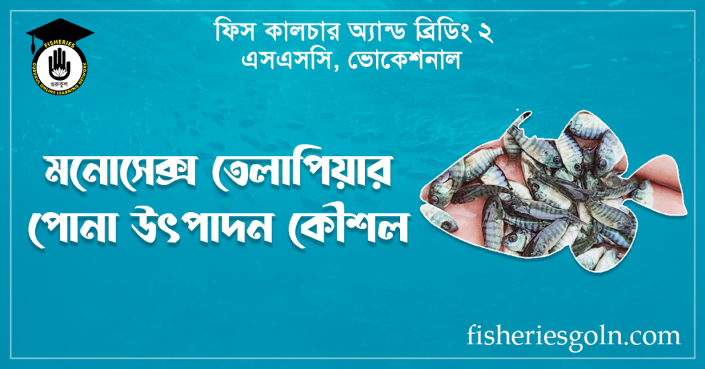 মনোসেক্স তেলাপিয়ার পোনা উৎপাদন কৌশল