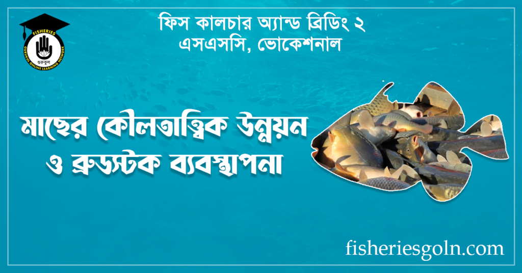 মাছের কৌলতাত্ত্বিক উন্নয়ন ও ব্রুডস্টক ব্যবস্থাপনা