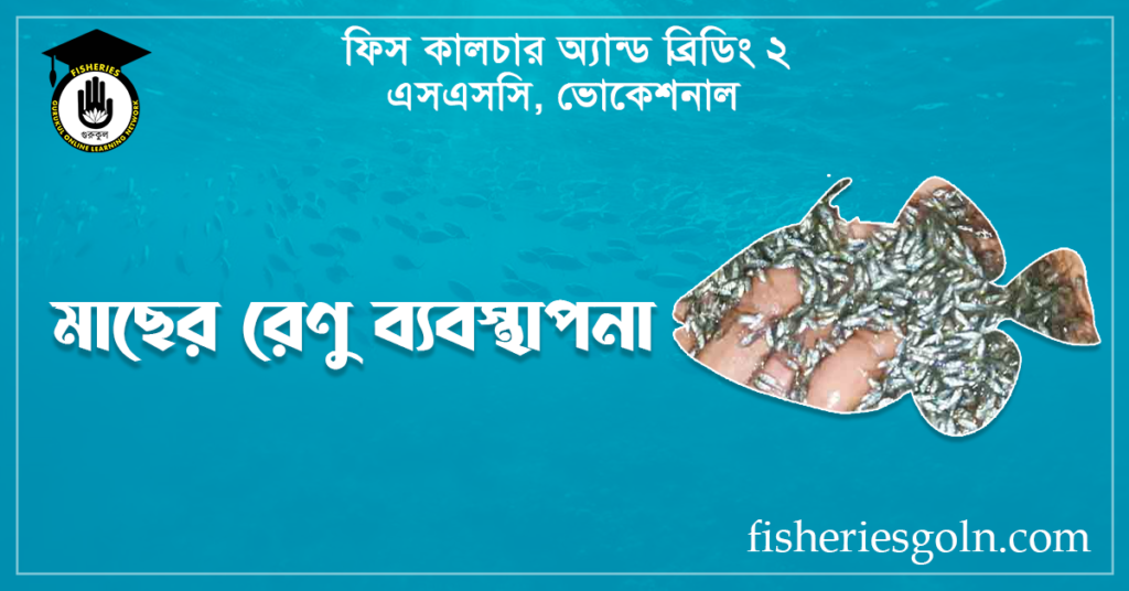 মাছের রেণু ব্যবস্থাপনা