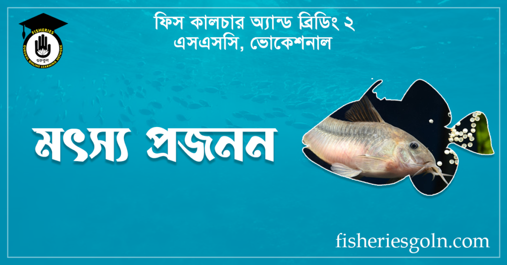  মৎস্য প্রজনন