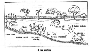 মৎস্য চাষের জন্য রেণু-পোনার গুণগত মান ও পরিমাণ