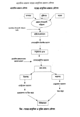  মৎস্য প্রজনন